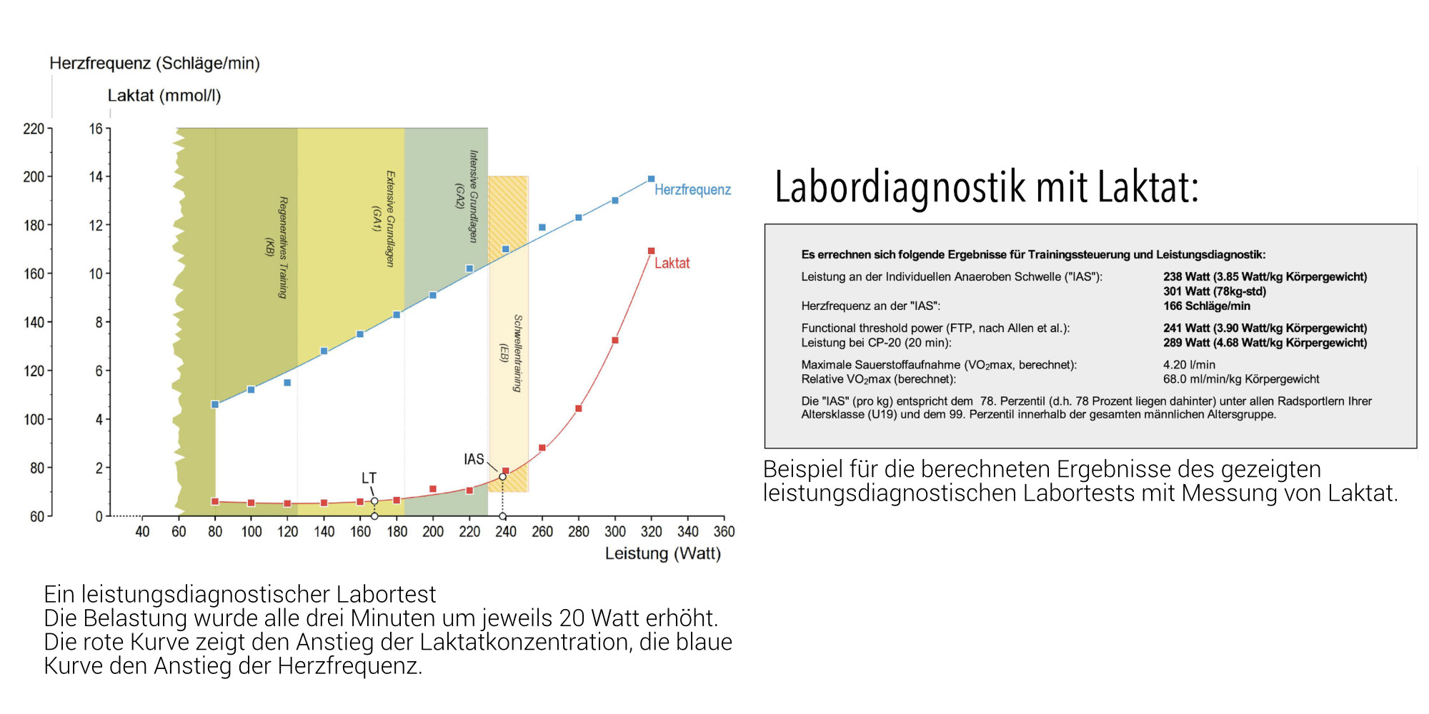 Radlabor-Blog-Diagnostik-mit-LaktatrMeEvlV6K9Ckv