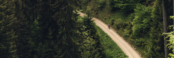 Radlabor-Biken-im-Wald