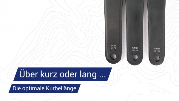 HeaderMEneOlPN6PDce