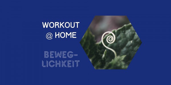 Radlabor_Blog_Workout-at-Home_Beweglichkeit